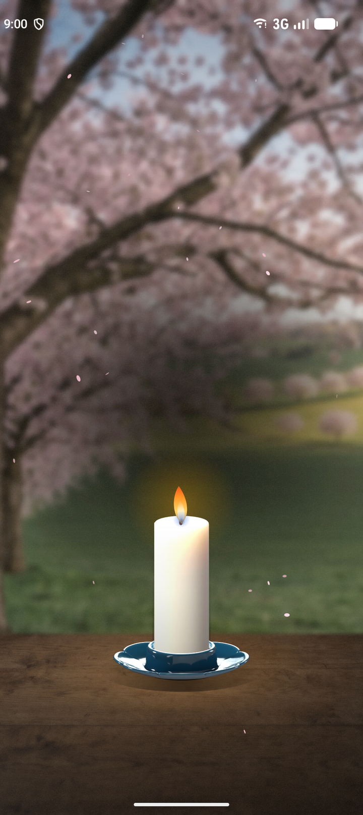 The cherry blossom background, with petals drifting and a candle burning on a blue-and-white dish